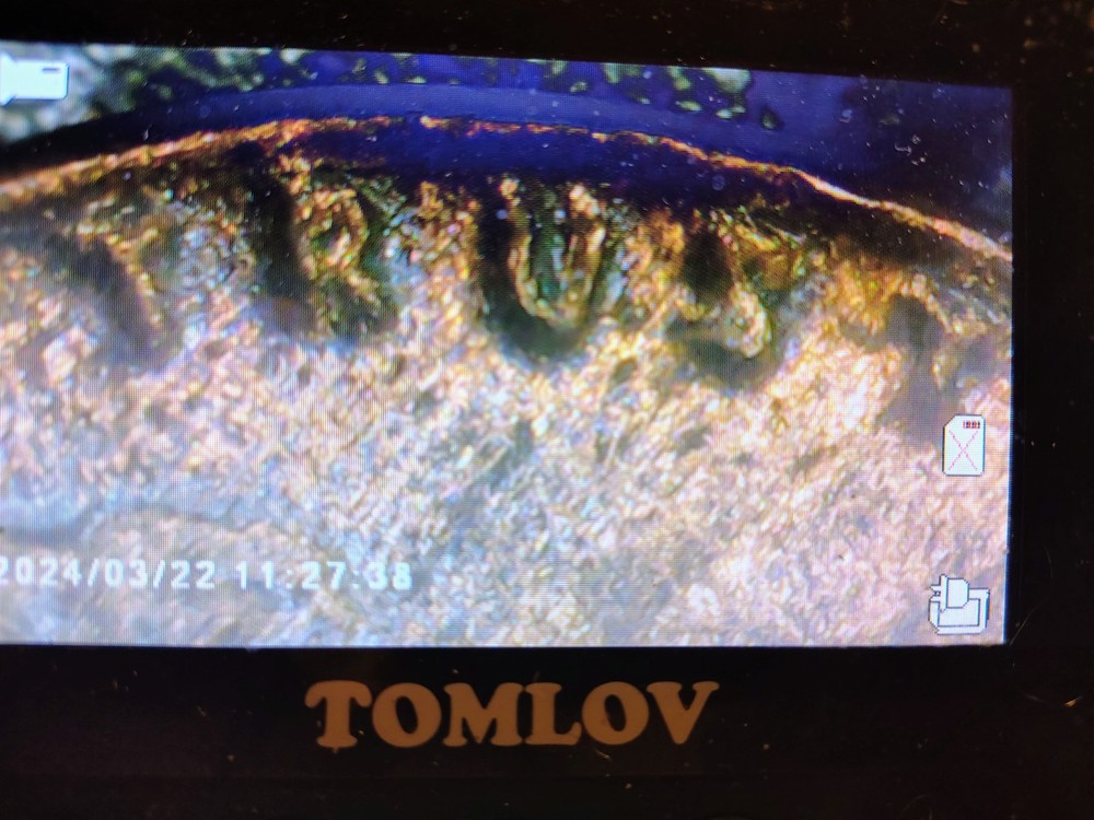 1948 D Wheat Sent Obverse And Reverse Debris Strike Error