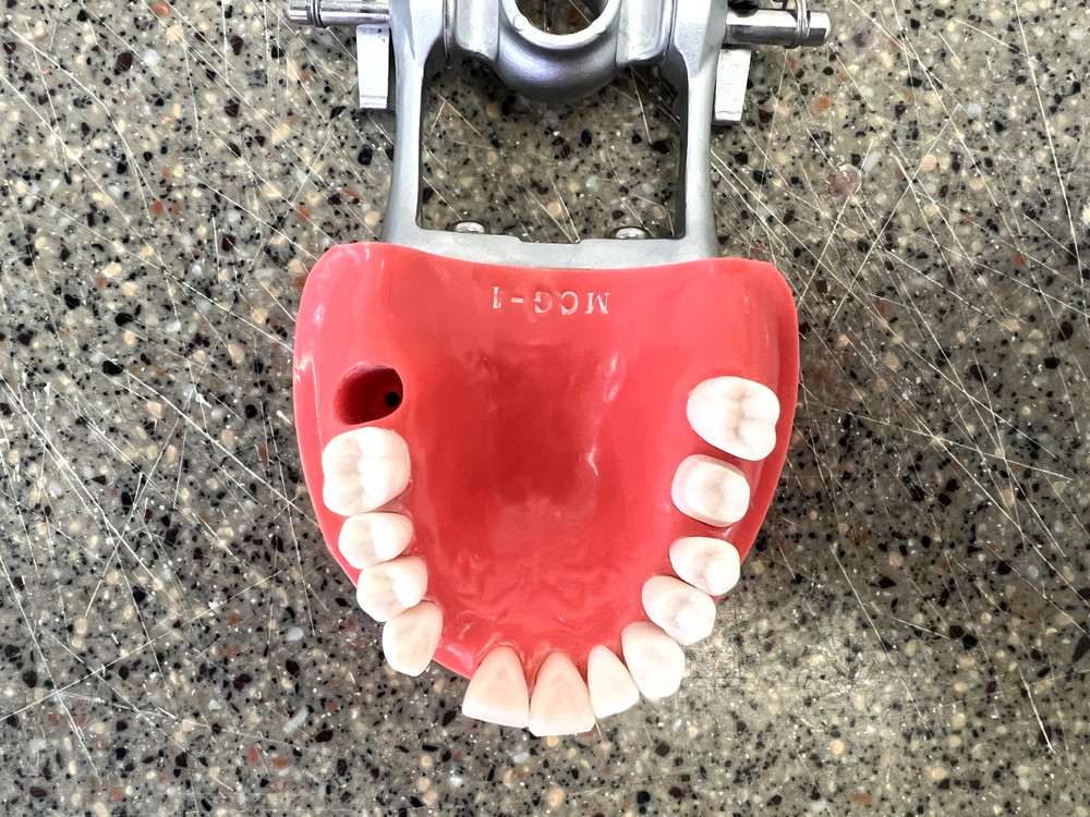 Kilgore MCG-1 Fixed Dentoform (Nissin Dental Model)