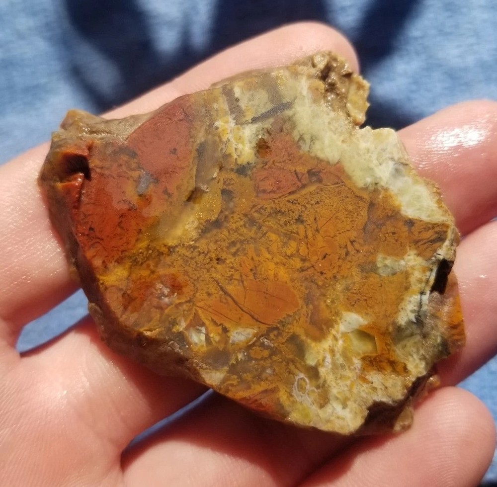 Great Multicolor Moss Plume Agate 7 Slab Lot 230g Various Specimens Translucent