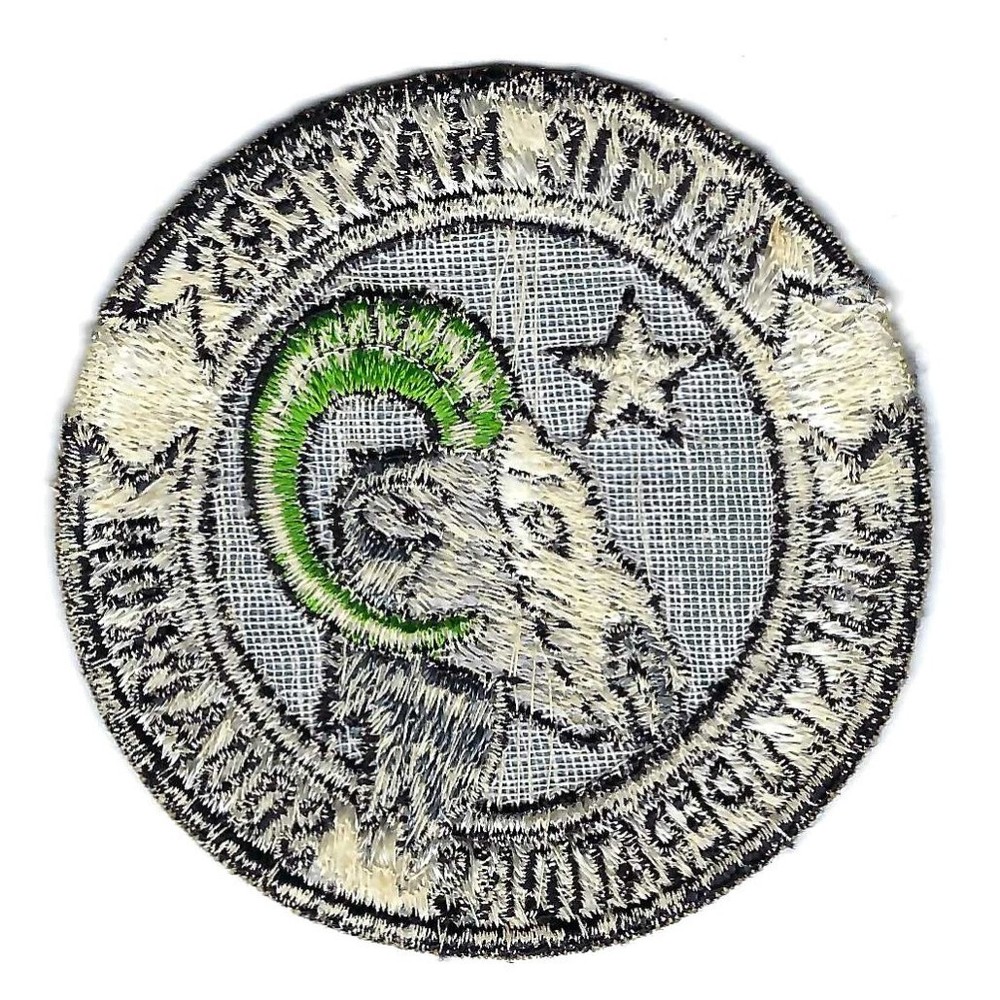50's(LADD AFB) 5001st OPERATIONS SQUADRON patch