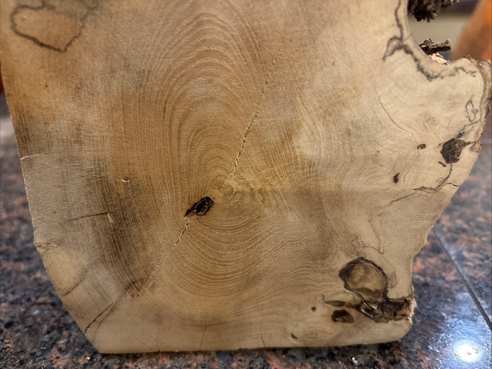 Spalted Live Edge Willow Slab 8.5”x8”x2-4”