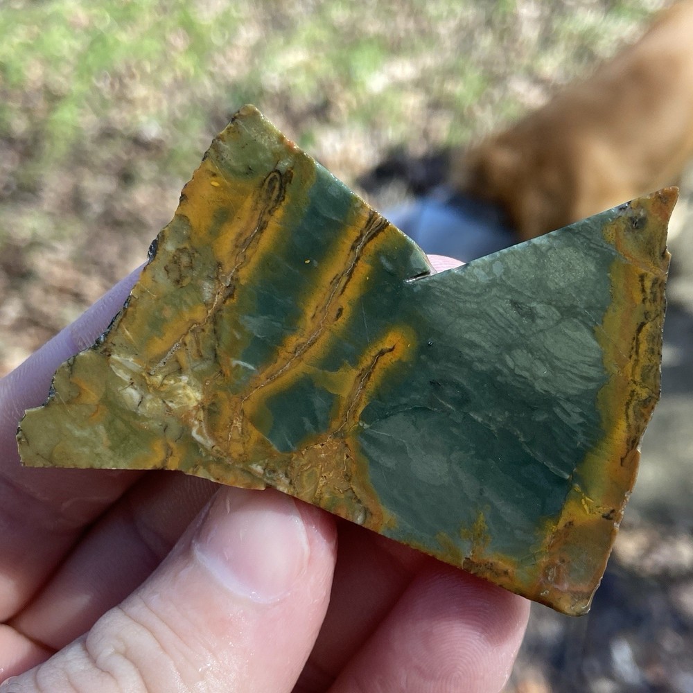 Blue Owyhee Jasper Thick Lapidary Slab