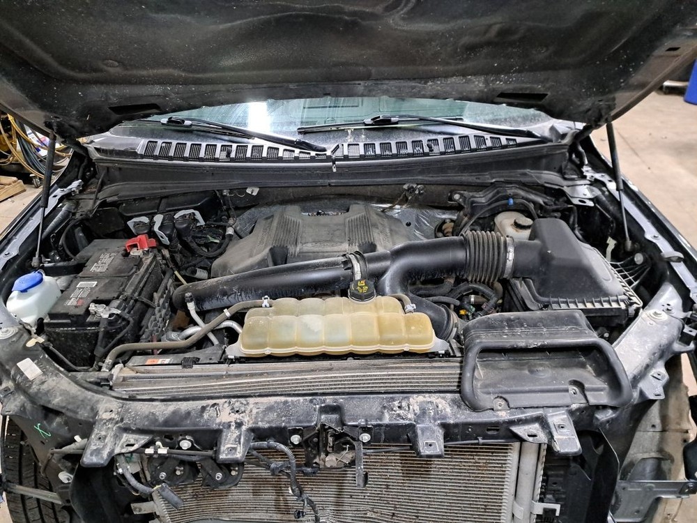 2020 Expedition Jack Sku#4350192