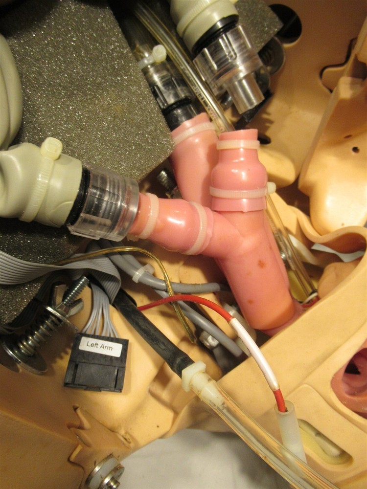 Laerdal 203-05050 Mega Code Kelly Basic Medical Training Manikin Trainer Nursing