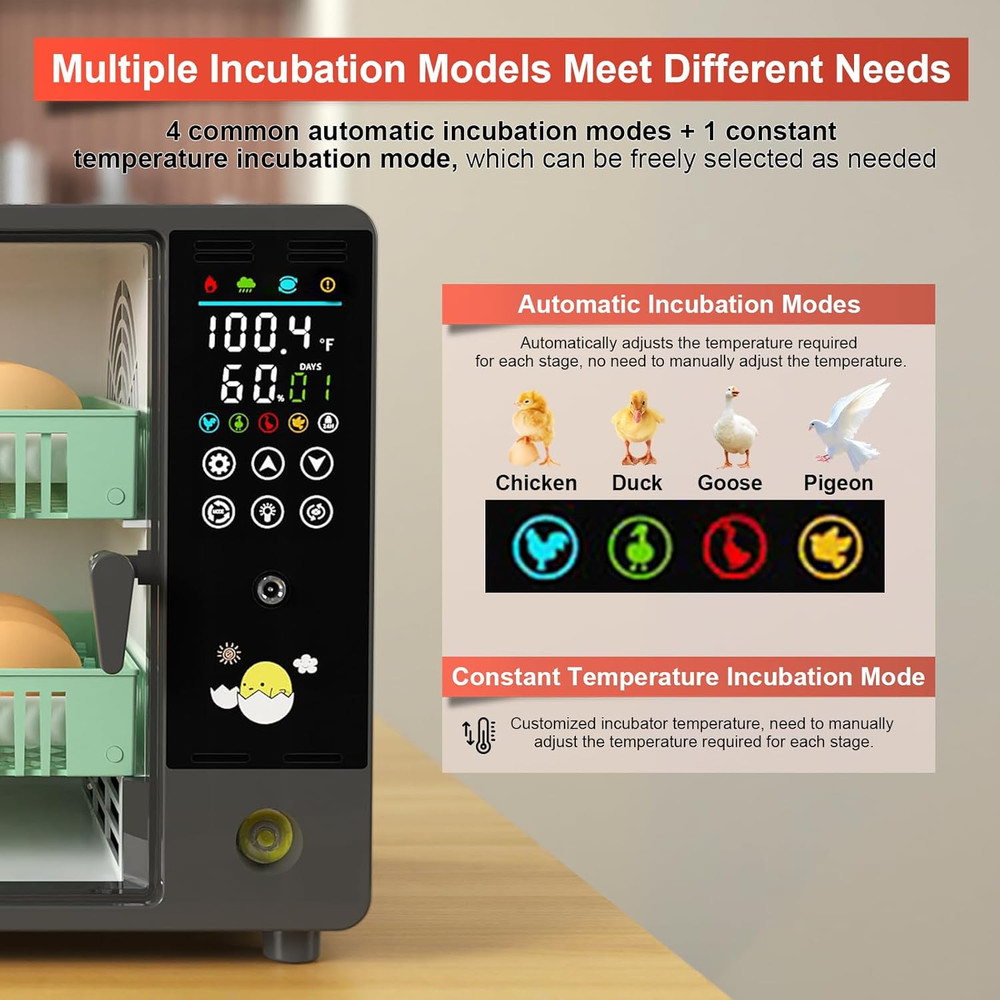 24-Egg Automatic Incubator with Humidifier and Temperature Control