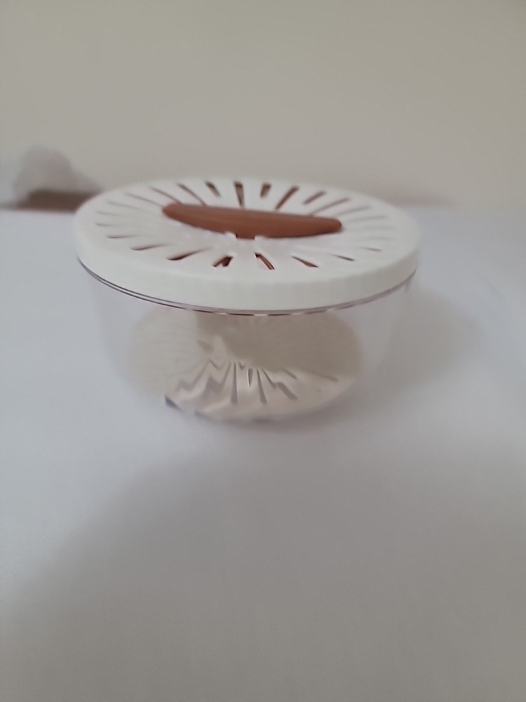 Multifunctional Fruit And Vegetable Washing Bowl