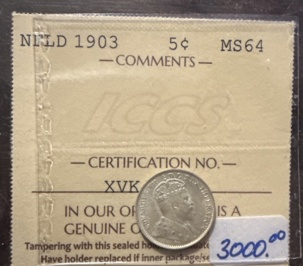 1903 Newfoundland Five Cents 5C - ICCS MS64  C6