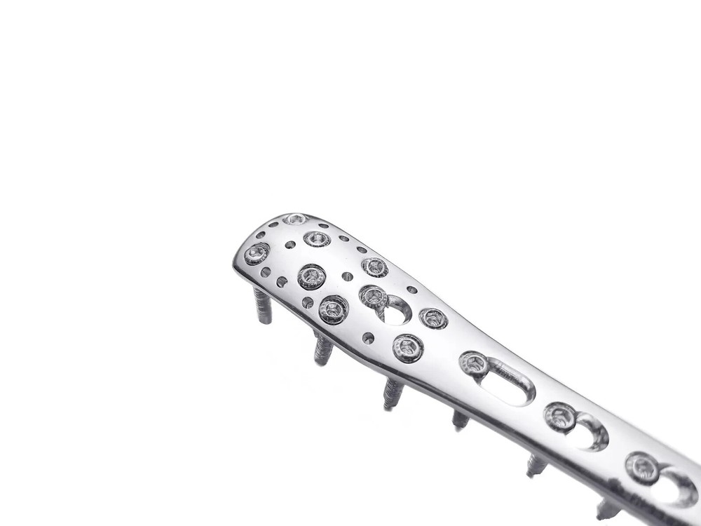 Proximal Humerus Set of 6pc SS Veterinary