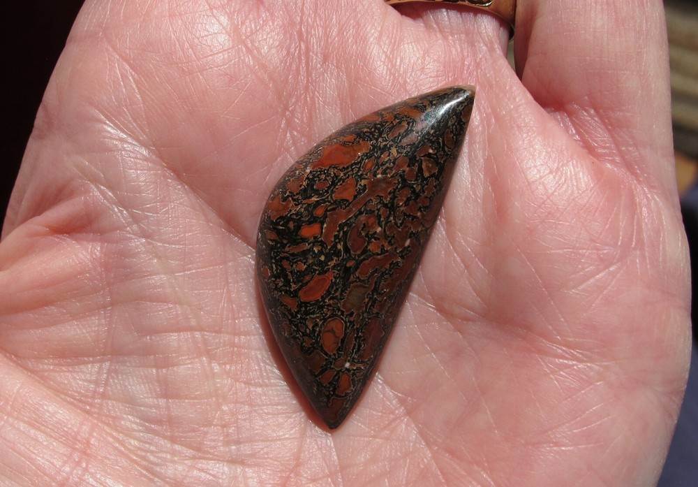Beautiful Dinosaur Bone Cabochon * Super Red Cells * 33 cts.