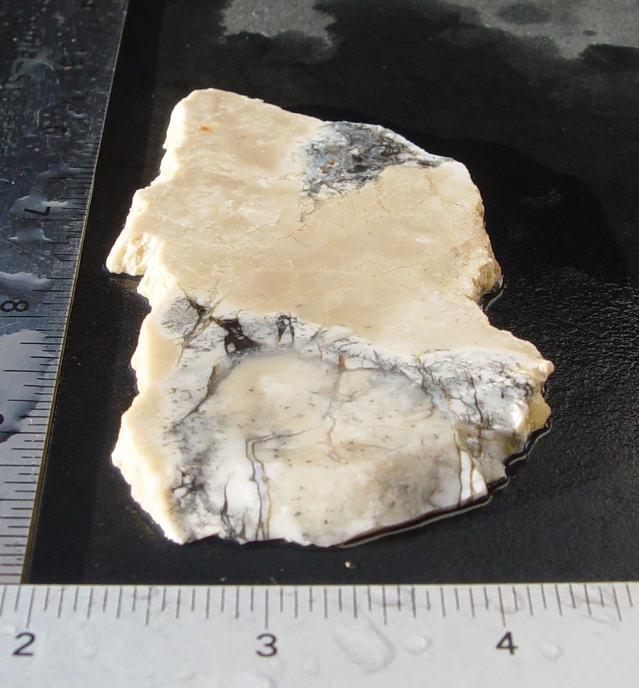 Cedar Ridge Dendritic Opal Lapidary Slab T1007