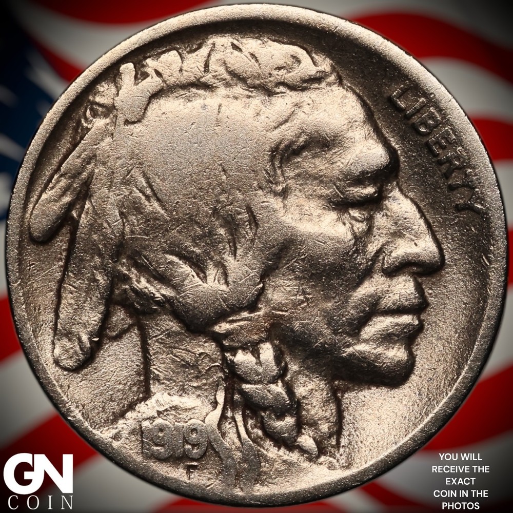 1919 D Buffalo Nickel Z8382