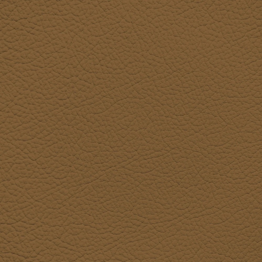 BMW Llama Leather Dye