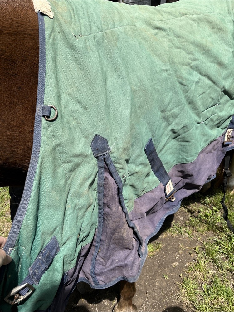 Schneiders Medium Weight 72” Blanket