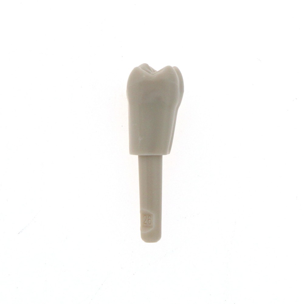 Dental 32 Pcs Tooth Model fit for KaVo Basic Model Teeth Retention Mechanism