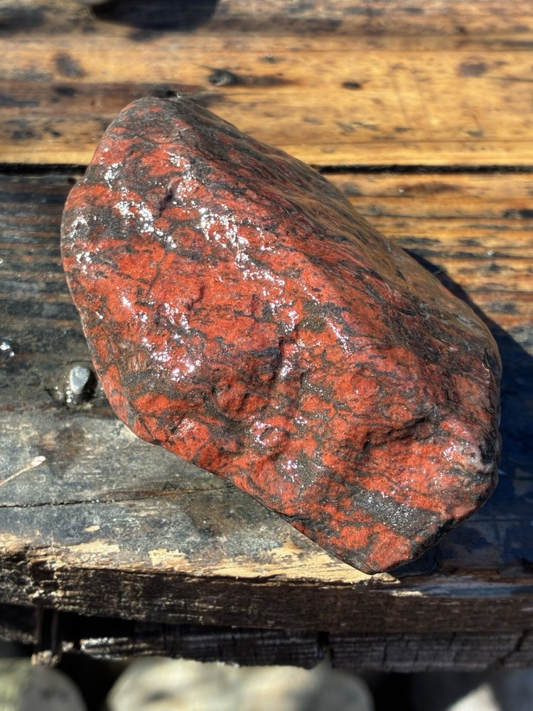 lapidary rough Arizona Rough Solid