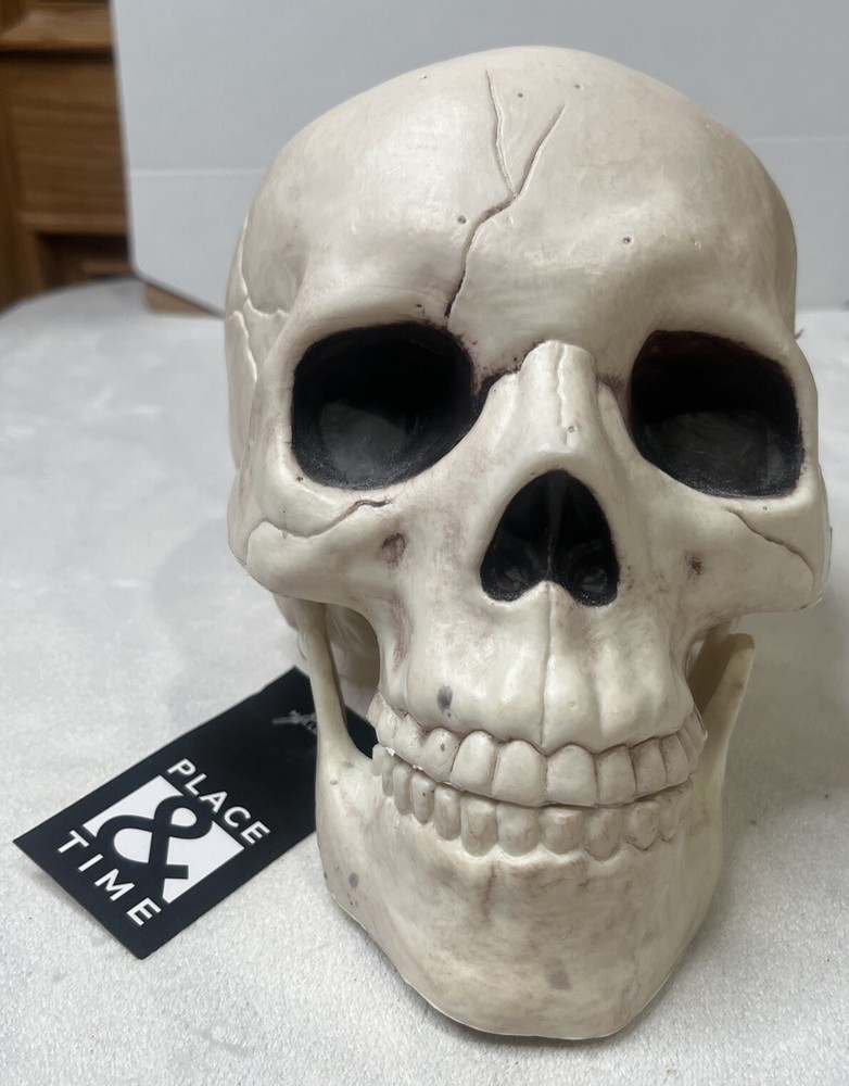 Skull With Movable Jaw By Place & Time