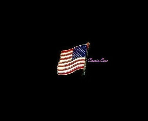 US Flag (left) Pins + a custom promo pin