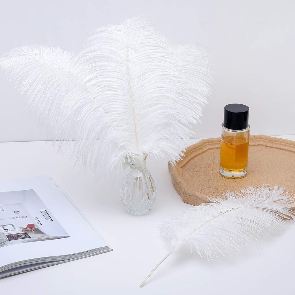Luxurious Large White Ostrich Feathers - 24pcs for Weddings & Party Centerpieces