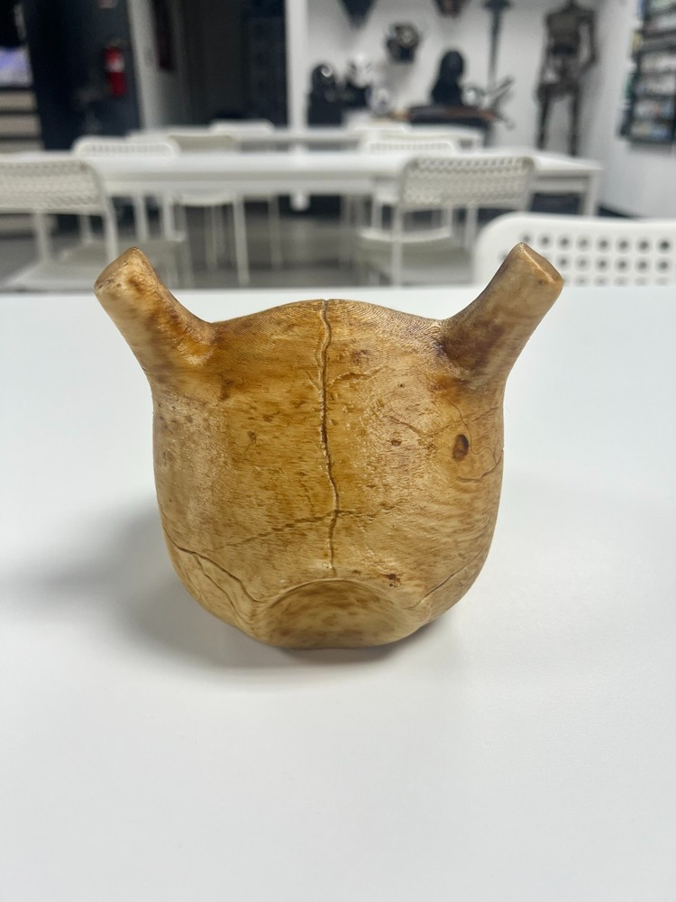 3D Printed Pokemon Mewtwo Skull