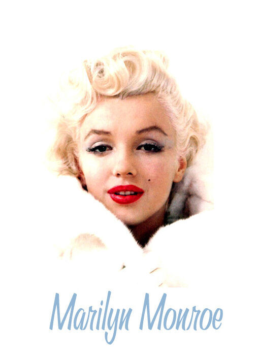 image disk art reference Marilyn Monroe Pin Up Photos CD-ROM tattoo painting