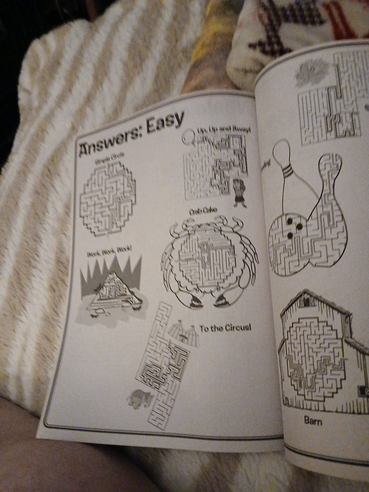 MAZE CRAZE Activity KIDS' Book