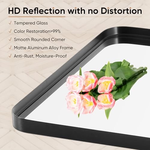 Black Metal Framed Vanity Rounded Rectangle 30"L x 22"W Matte Black Modern