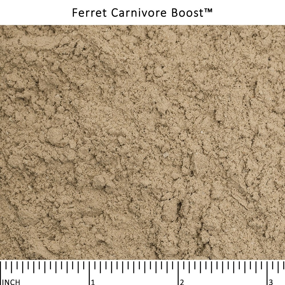 Carnivore Boost for Ferrets HighProtein Nutrition Supplement