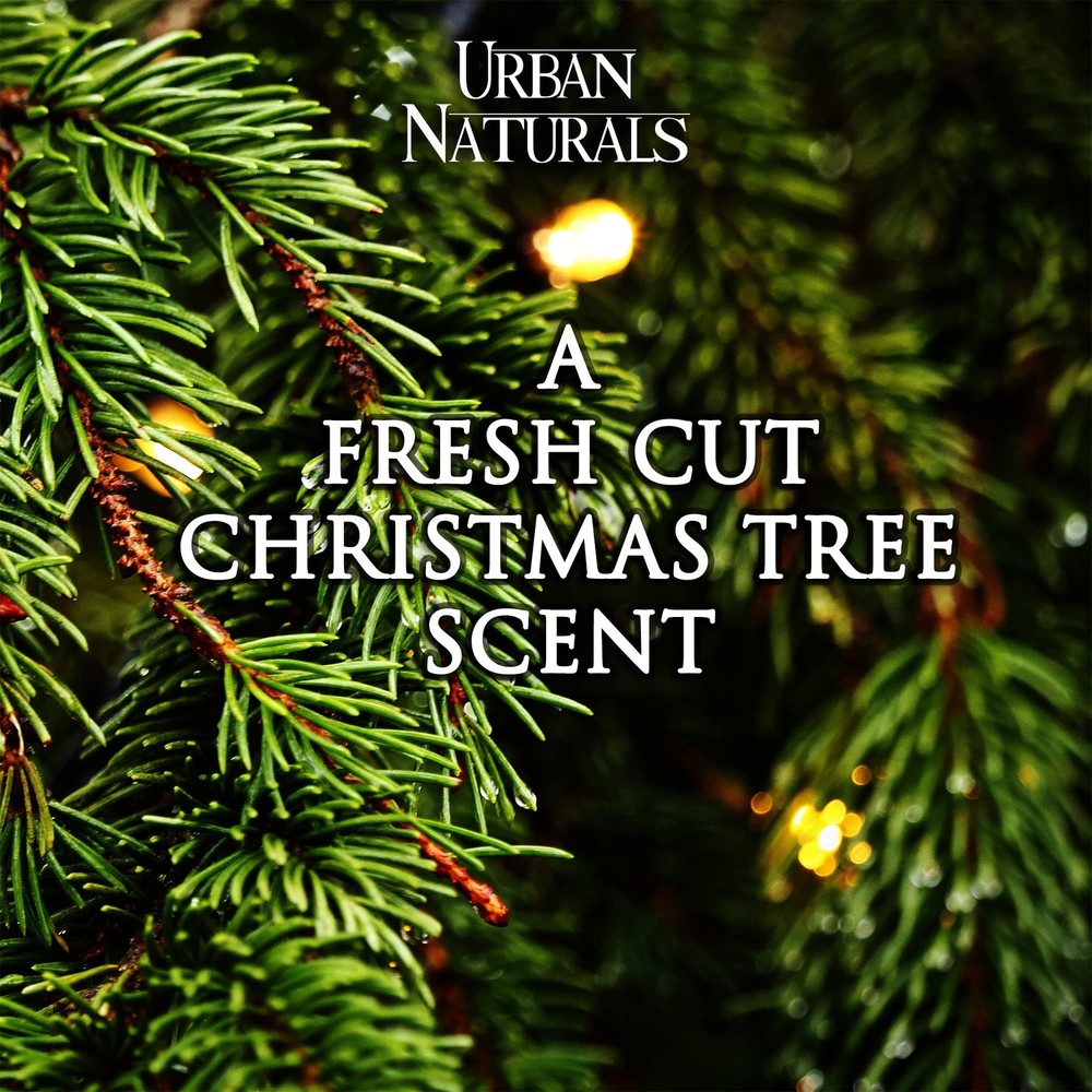 Urban Naturals Balsam Forest Reed Clear Diffuser/1 Pack,