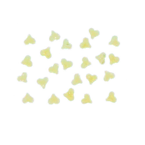 Arcobaleno AEX90 & AEX90M#292 Pasta Die