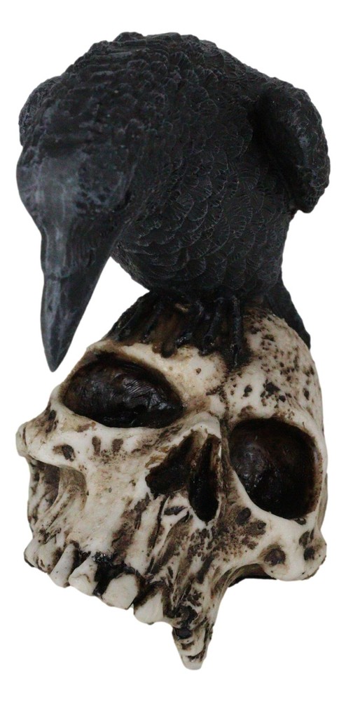 Foreboding Dark Crow Raven On Skull Statue 5"Tall Ossuary Scavenger Raven Bird