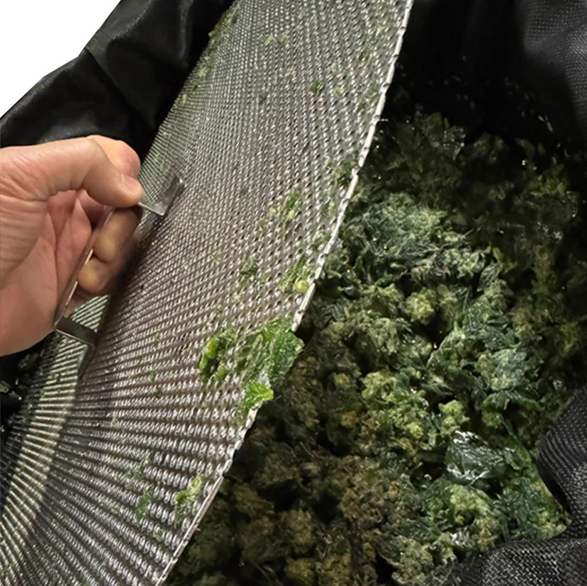 THE PRESS CLUB HASHSOAKER