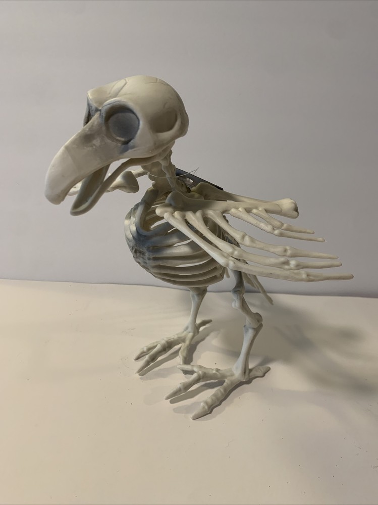 Crow Skeleton Prop Bones Animal Halloween Plastic 11.5”x 9” New