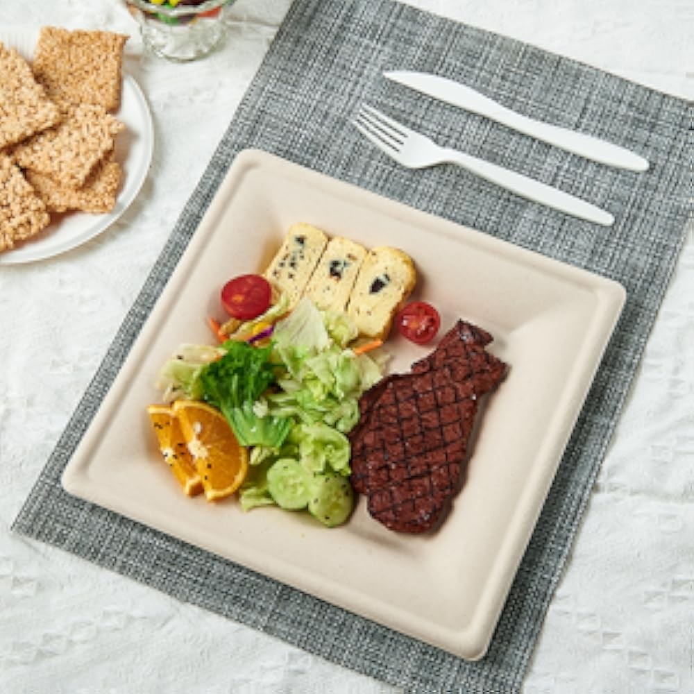 postable Square Paper Plates 6 inch Disposable, Eco-friendly