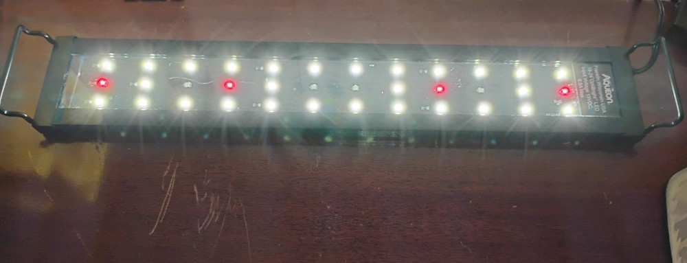 Aqueon Optibright LED Light 18-24" White/Red, Blue Modes