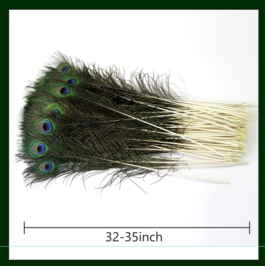 Large Eye Peacock Feathers for Vase, Craft & Party Decor