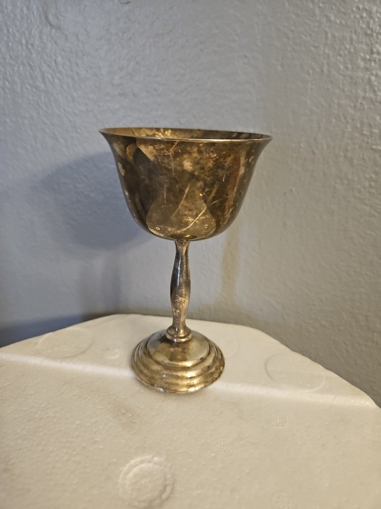 Vintage Silver Plated Wine Chalice Goblet 4”
