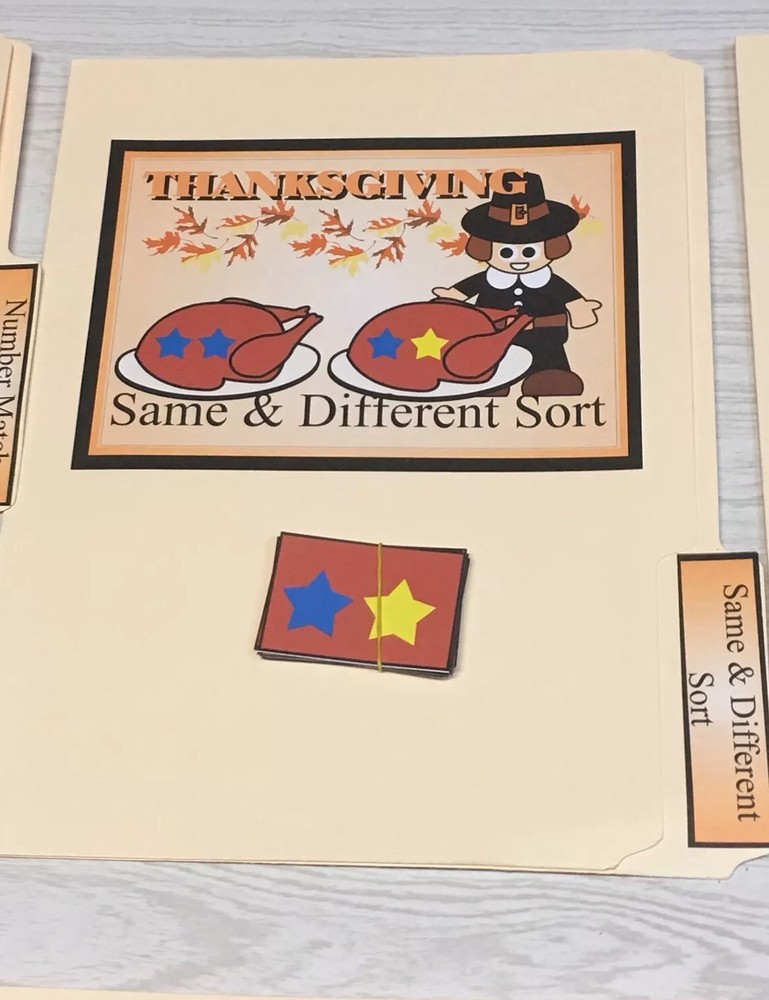 Thanksgiving -  File Folder Game  - Activity Set - Same & Different Sort