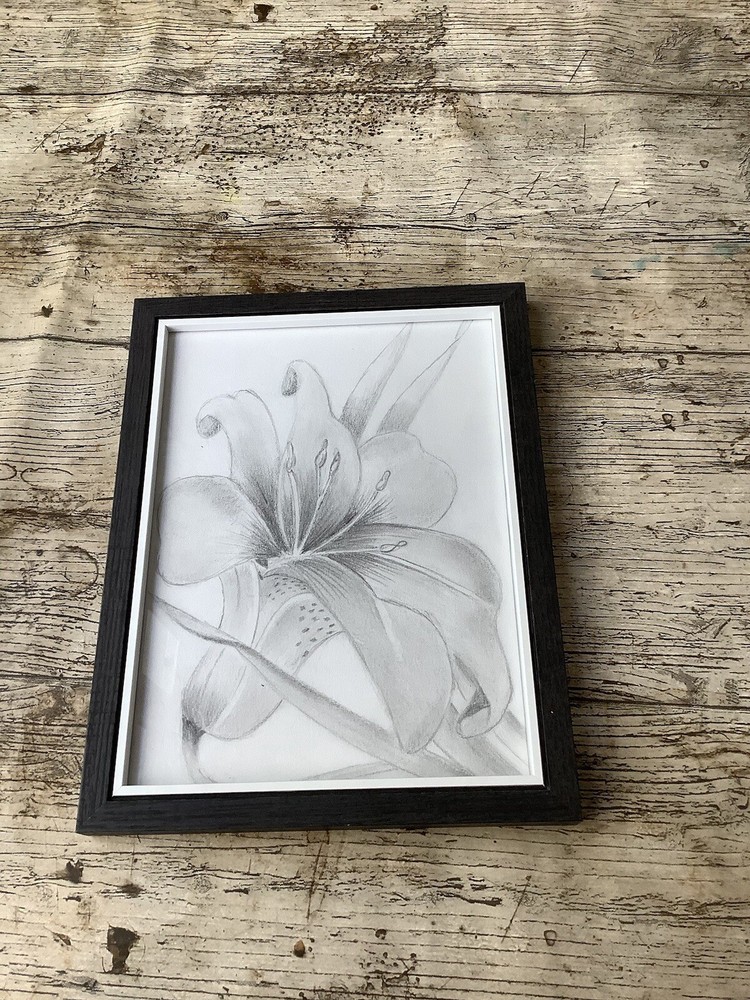 Lilly Drawing Picture