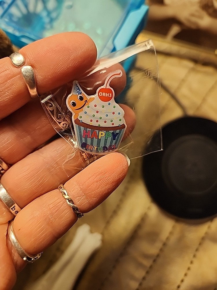 Peccy Pin