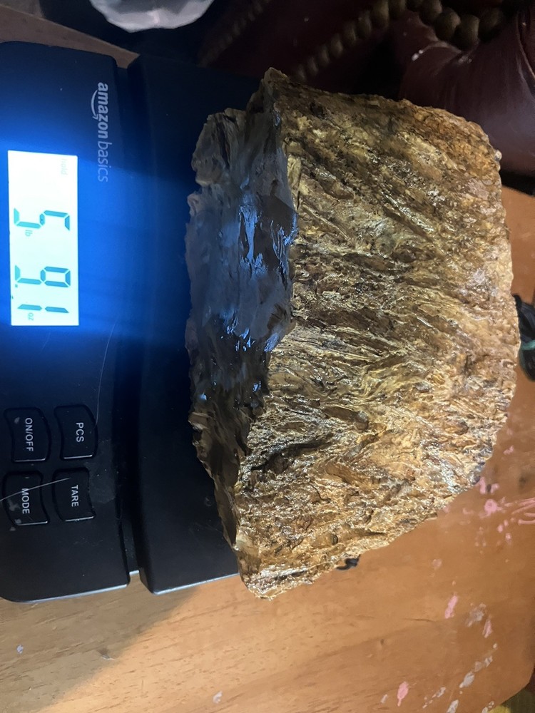 Mustard Petrified Wood Specimen
