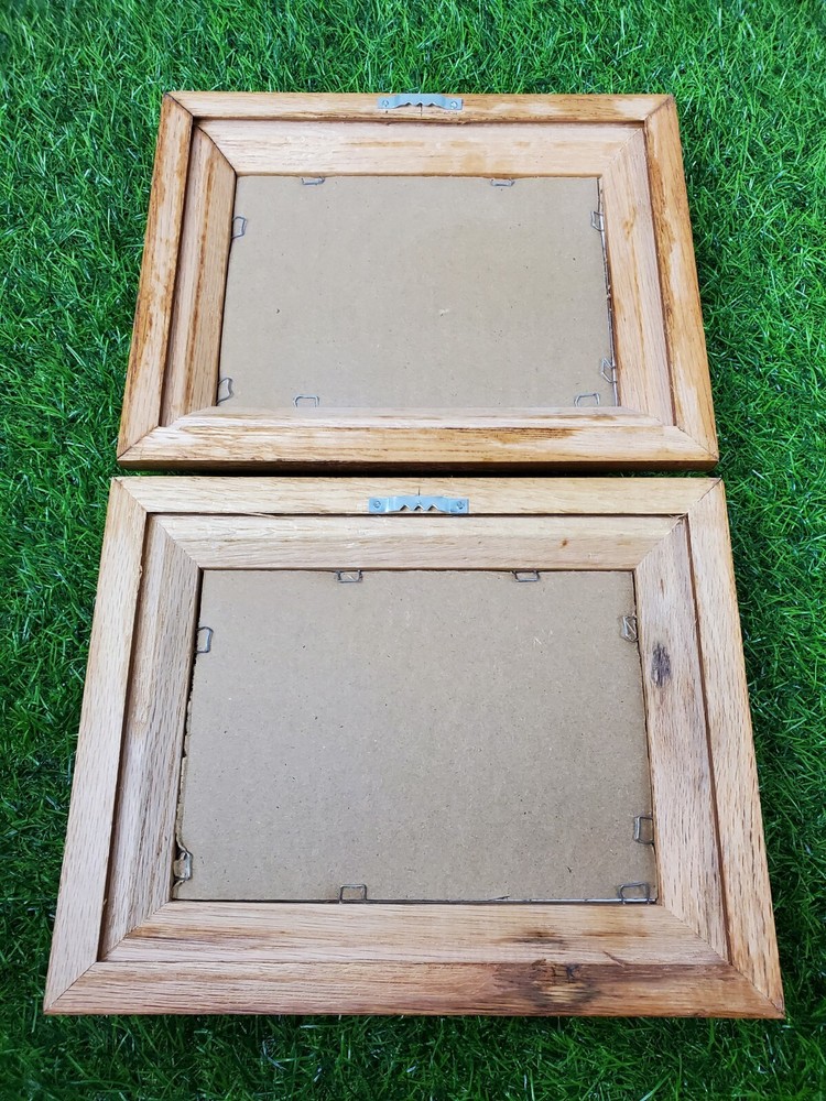 Richard Sloan Green-Wing Teal & Pin-Tail Ducks Signed Prints in Solid Oak Frames