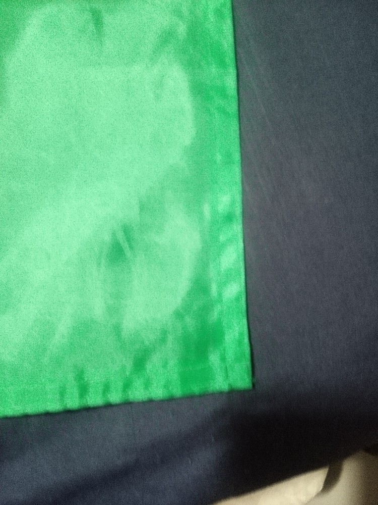 Washington State Flag