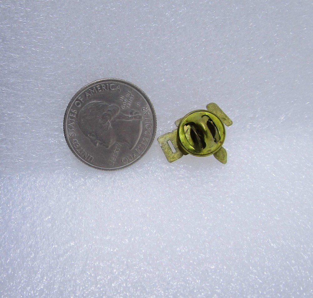 Dignity Plastic Pin