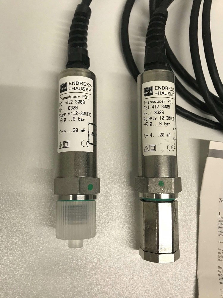 Endress+Hauser Transmitter P31-412 3009