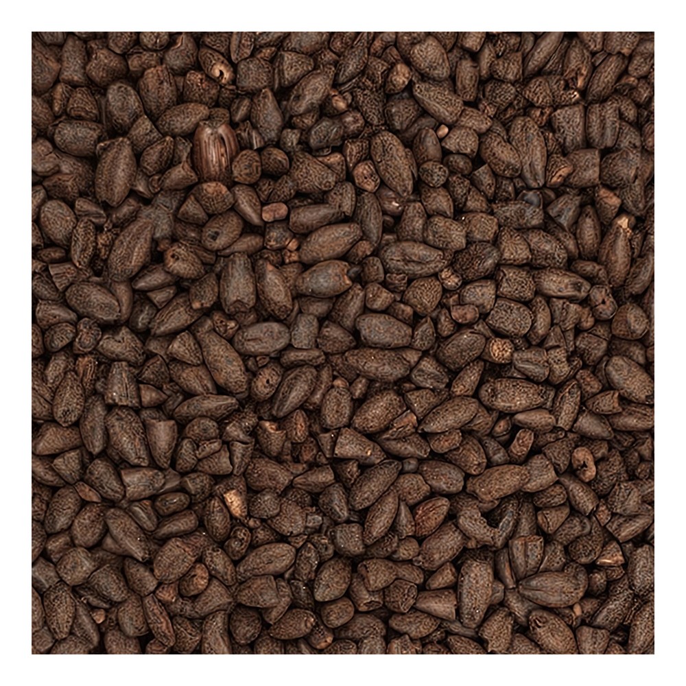 Home Brew Ohio Blackprinz Grain 1lb