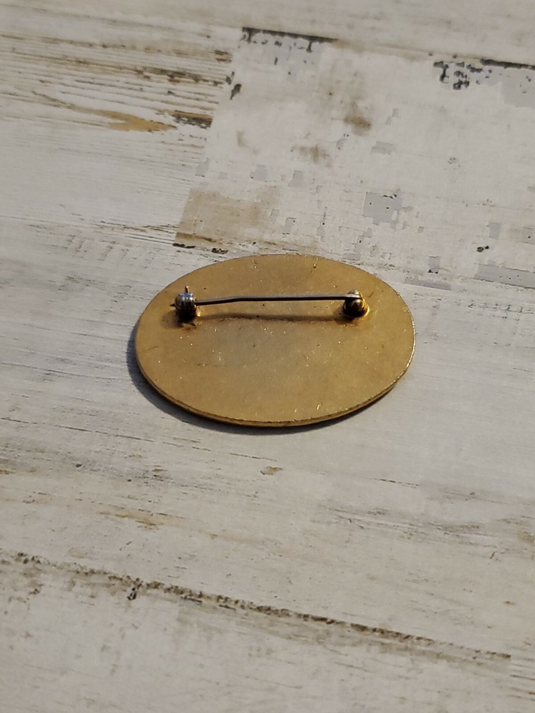 Beautiful Visiting Nurse Service Lapel Pin ha