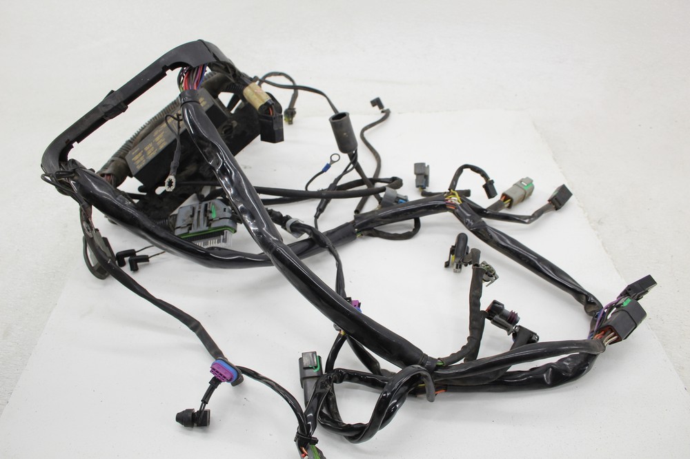 2006 Harley Davidson Heritage Flstc Main Engine Wiring Harness