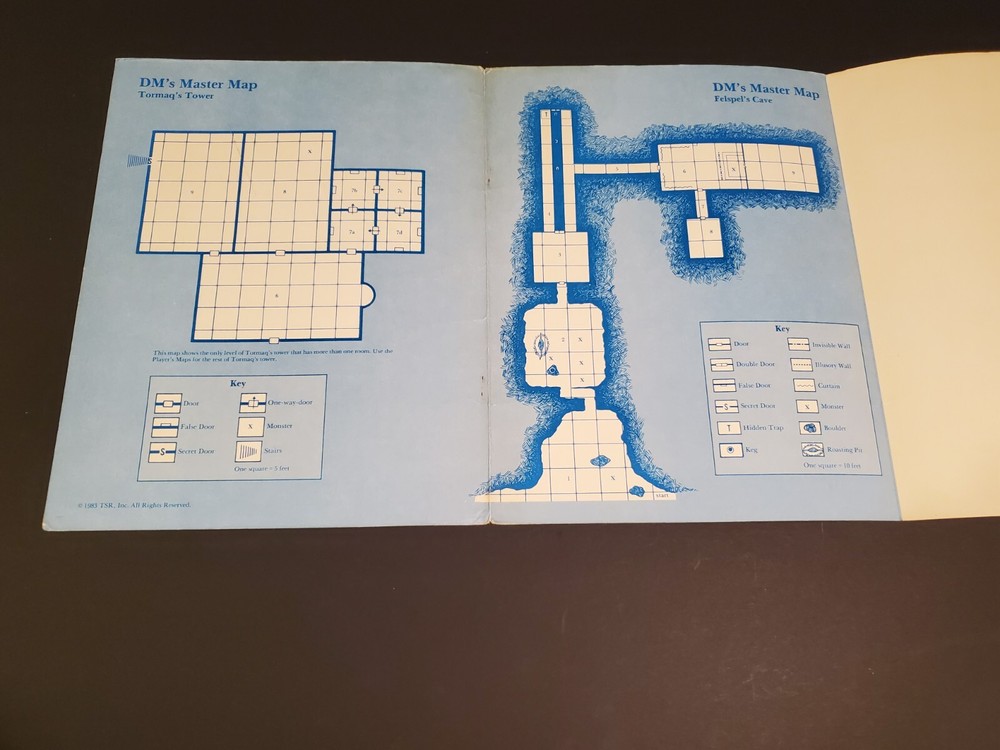 Dungeons & Dragons: Gemma And Staff 1983 ☆ D&D ☆ TSR ☆ Authentic ☆