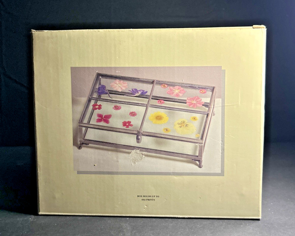 Carr Atrium Photo Box - Garden