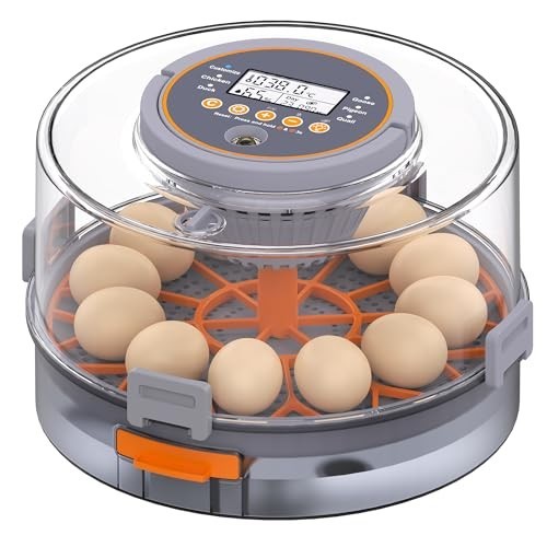 Automatic Egg Incubator with Humidity Control & Temp Adjustment, 12 Eggs Capacit